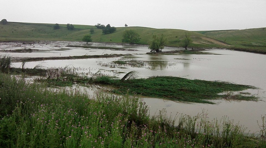 Ливневые дожди нанесли ущерб стране