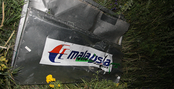 За информацию о виновных в крушении MH17 пообещали $30 млн