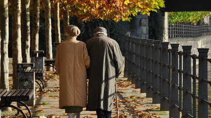 Молдову ждет пенсионная реформа