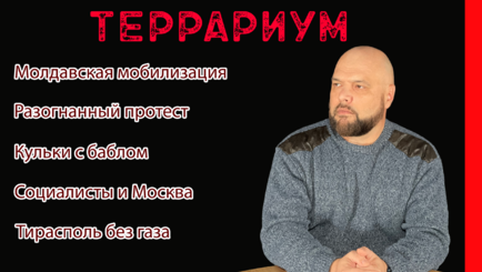 Террариум – Осенние газы