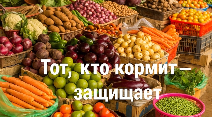 Почему мы едим китайский чеснок на молдавском чернозёме?