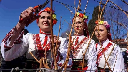 Виноградари Тараклии хранят традицию: Трифон Зарезань, празднуемый в Твардице