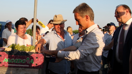 Первая партия молдавского винограда уедет в европейской упаковке