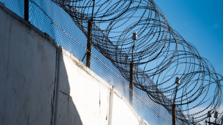 «Нацелена на полное уничтожение человека». Чем известна колония, куда этапируют Навального