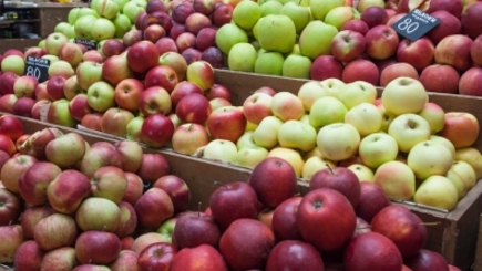 Вице-глава «Россельхознадзора»: 