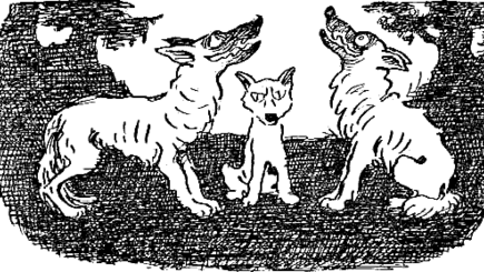 Майя Санду должна понять: с волками жить - по волчьи выть