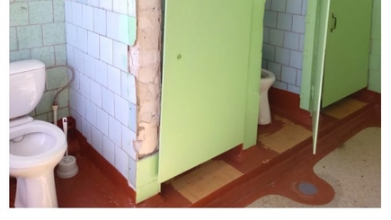 Великая Россия, школьные туалеты и провокация Domestos? Или благотворительность?