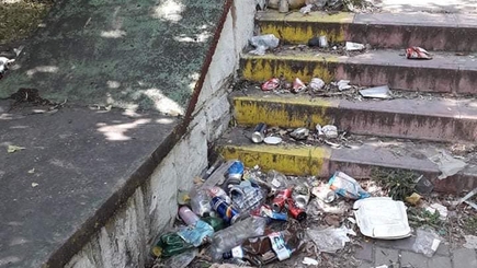 Обыкновенная свалка