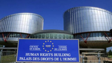 ЕСПЧ вынес первое решение по акции «Он вам не Димон». Россию обязали заплатить компенсацию 15 тысяч евро