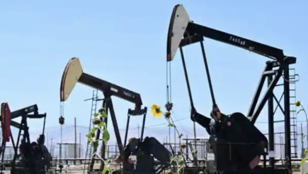 Крупнейшая отрасль российской промышленности оказалась на грани краха из-за европейских санкций