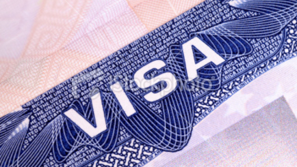 Электронную визу будут выдавать с августа