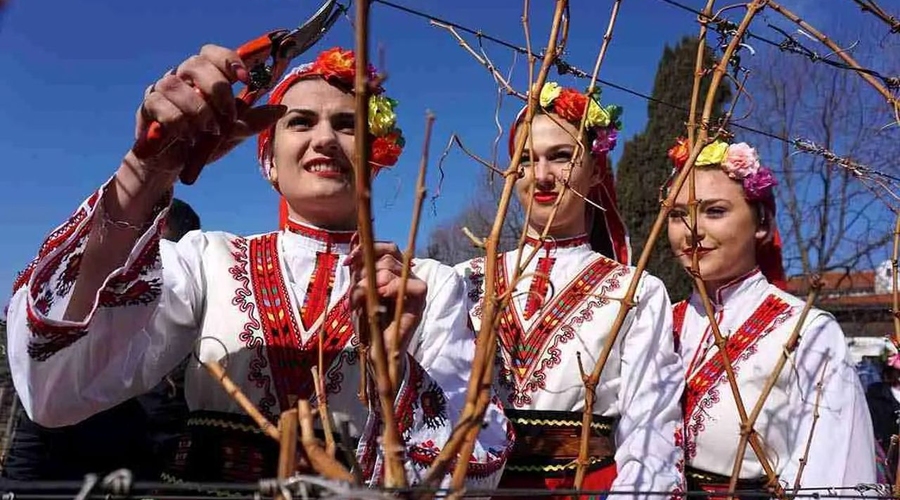 Виноградари Тараклии хранят традицию: Трифон Зарезань, празднуемый в Твардице