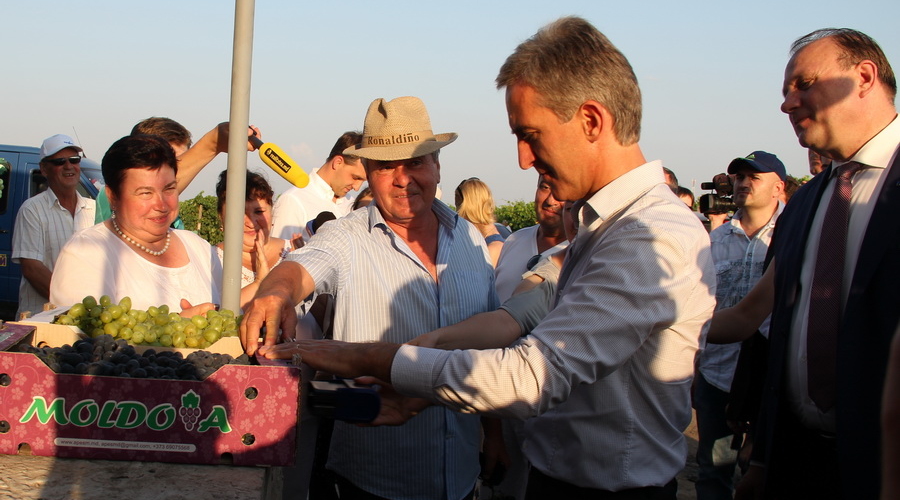 Первая партия молдавского винограда уедет в европейской упаковке