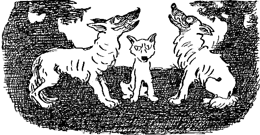 Майя Санду должна понять: с волками жить - по волчьи выть