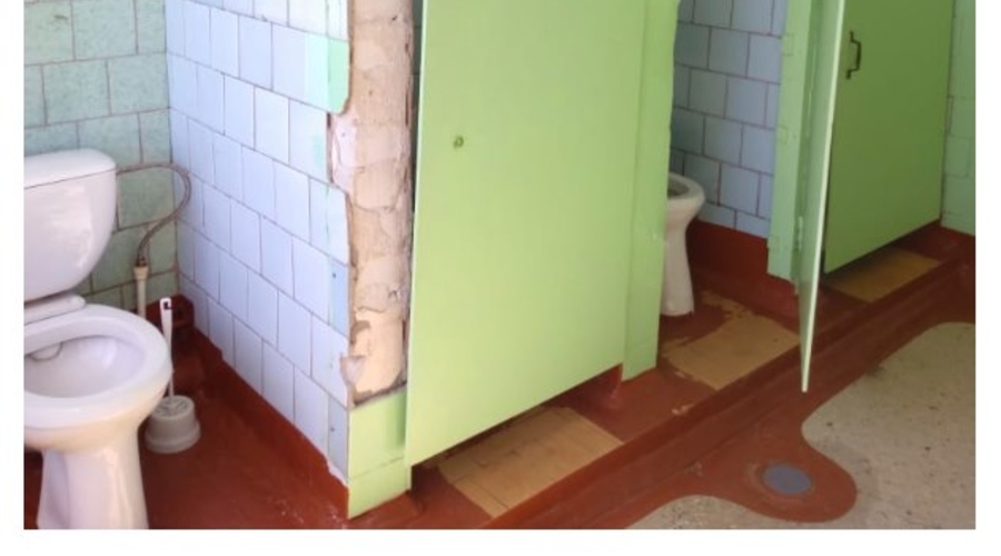 Великая Россия, школьные туалеты и провокация Domestos? Или благотворительность?