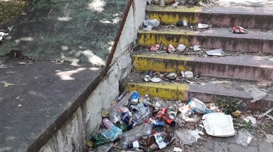 Обыкновенная свалка