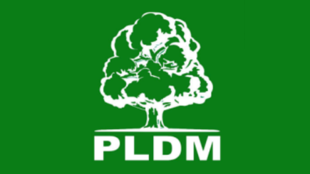 ЛДПМ приняла решение