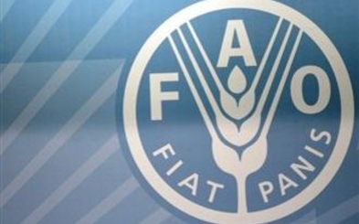 Представительство FAO oткрoется в Moлдове