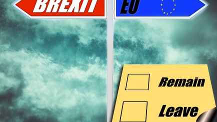 Опрос предсказал победу противников выхода Великобритании из ЕС