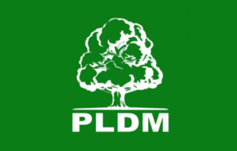 ЛДПМ приняла решение