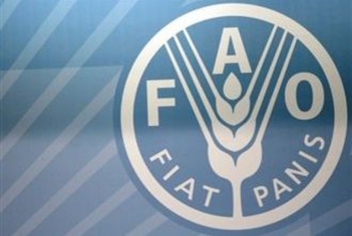 Представительство FAO oткрoется в Moлдове