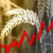 Румыния на пороге продовольственного кризиса