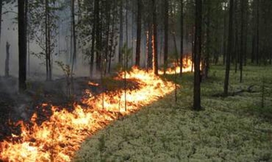 В Молдове  объявлен «желтый код» в связи с  пожароопасностью