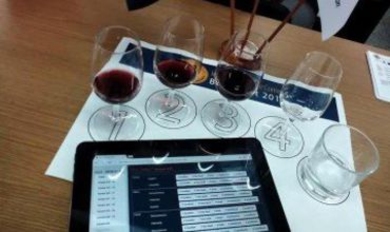 Молдавские вина получили 43 медали на конкурсе в Румынии