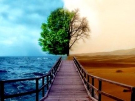 Красивая! Позолоти ручку, и будет тебе счастье...