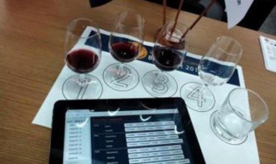 Молдавские вина получили 43 медали на конкурсе в Румынии