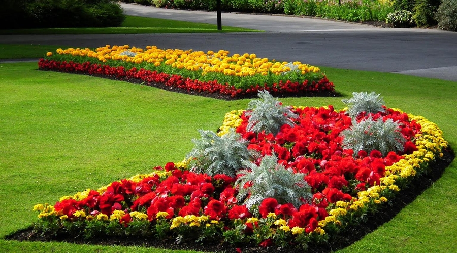 Кишинёв станет «цветочным» городом?