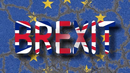 В большинстве округов победили сторонники Brexit