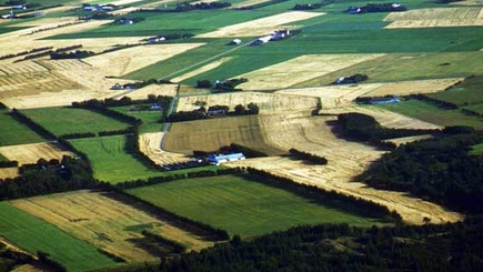 В Молдове остаются неосвоенными свыше 200 тыс. га земель