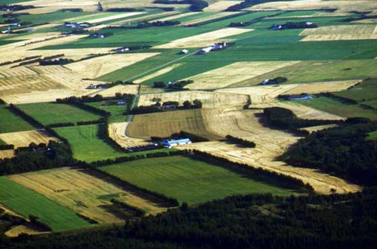 В Молдове остаются неосвоенными свыше 200 тыс. га земель