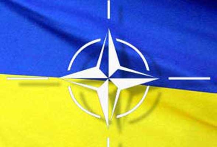 НАТО не планирует вводить войска в Украину