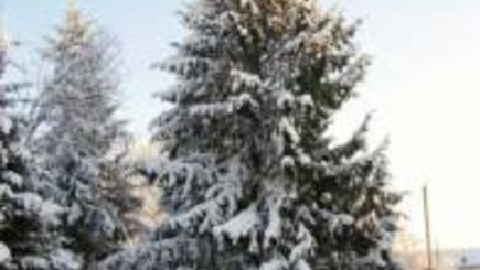 Сергей Белоус: «В период новогодних праздников серьёзных происшествий и преступлений зафиксировано не было»