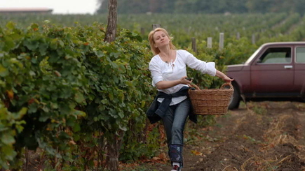 Молдову ожидает урожай винограда на 600 тыс. т