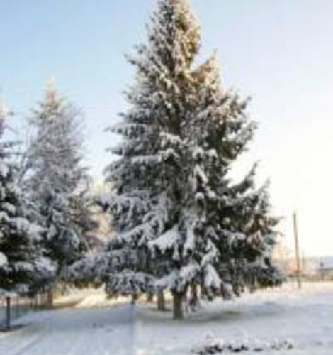 Сергей Белоус: «В период новогодних праздников серьёзных происшествий и преступлений зафиксировано не было»