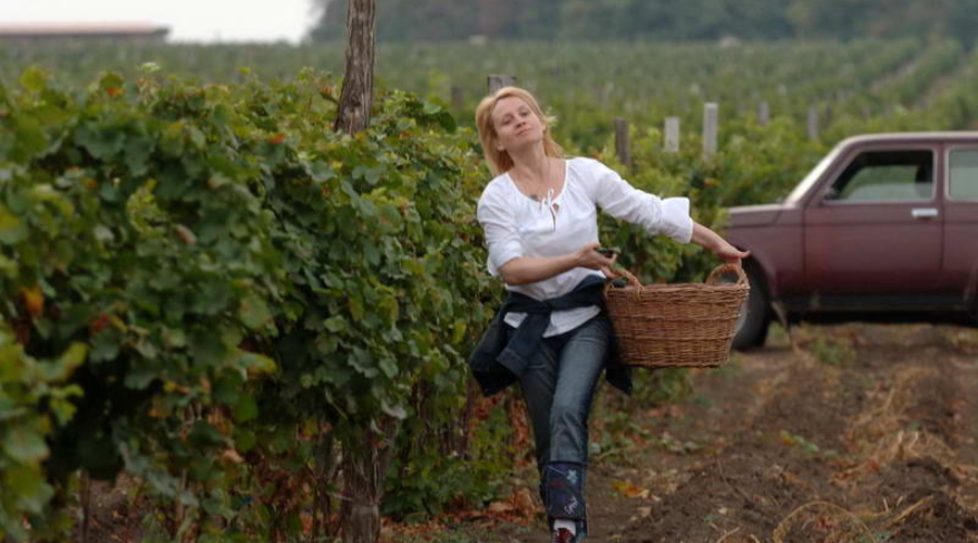 Молдову ожидает урожай винограда на 600 тыс. т