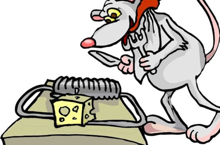 Бесплатный сыр бывает только в мышеловке.