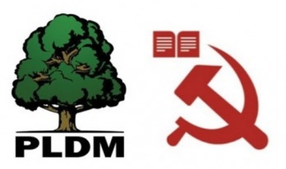 Самая влиятельная партия Молдовы — ЛДПМ