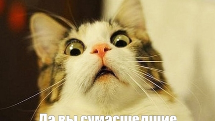 Радуйтесь, идиоты!