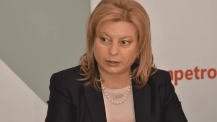 Мариана Дурлештяну будет баллотироваться в депутаты