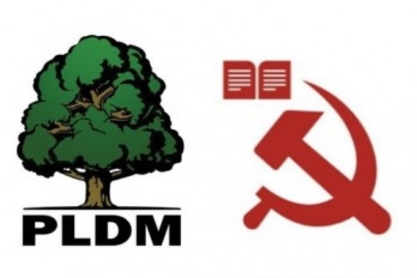 Самая влиятельная партия Молдовы — ЛДПМ