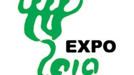 Объявлен конкурс национального оператора, победитель которого представит Республику Молдова на выставке World Expo 2010