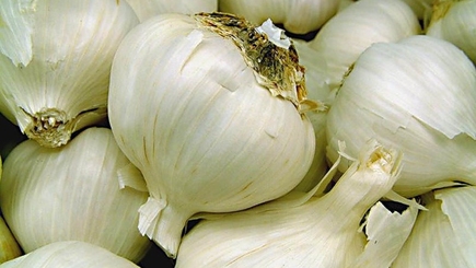 Контрабандисты переквалифицировались? От сигарет перешли к контрабанде чесноком…