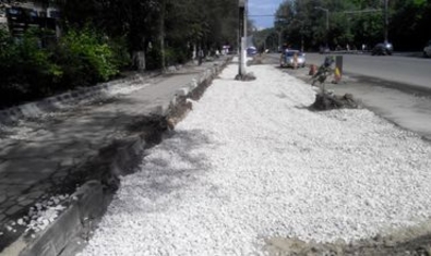 На Алеко Руссо вместо новых деревьев возможно будет парковка