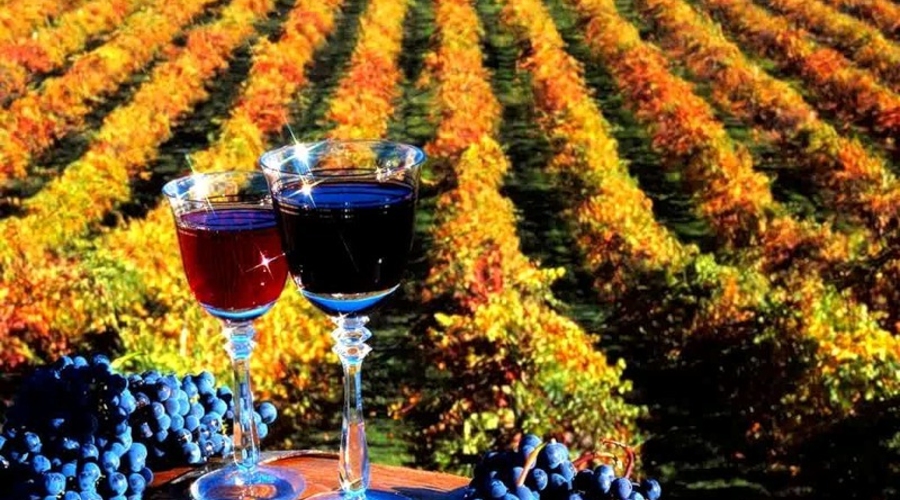 Молдавские вина продвигаются в Лондоне