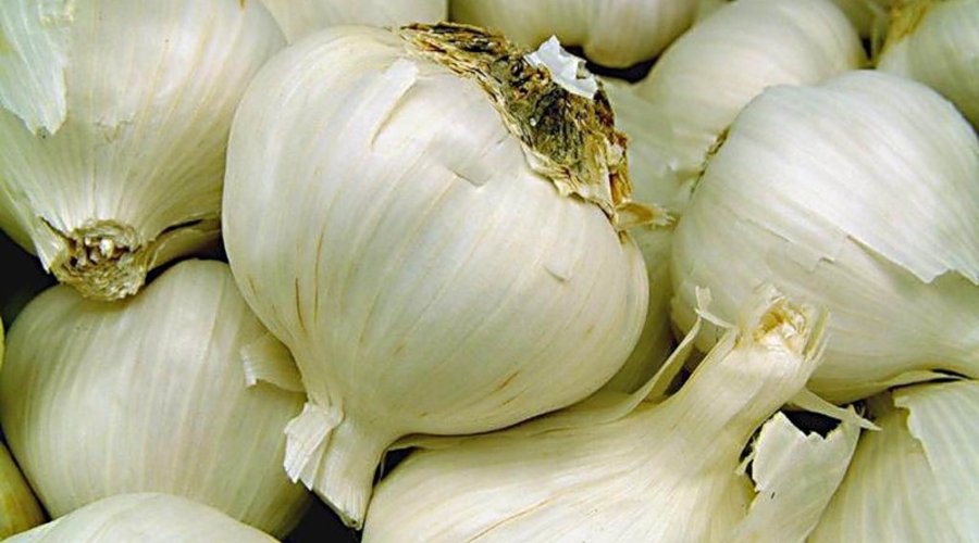 Контрабандисты переквалифицировались? От сигарет перешли к контрабанде чесноком…