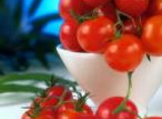 Привлечение инвестиций в АПК  ПМР может создать реальные условия   для формирования «Агрохолдингов»